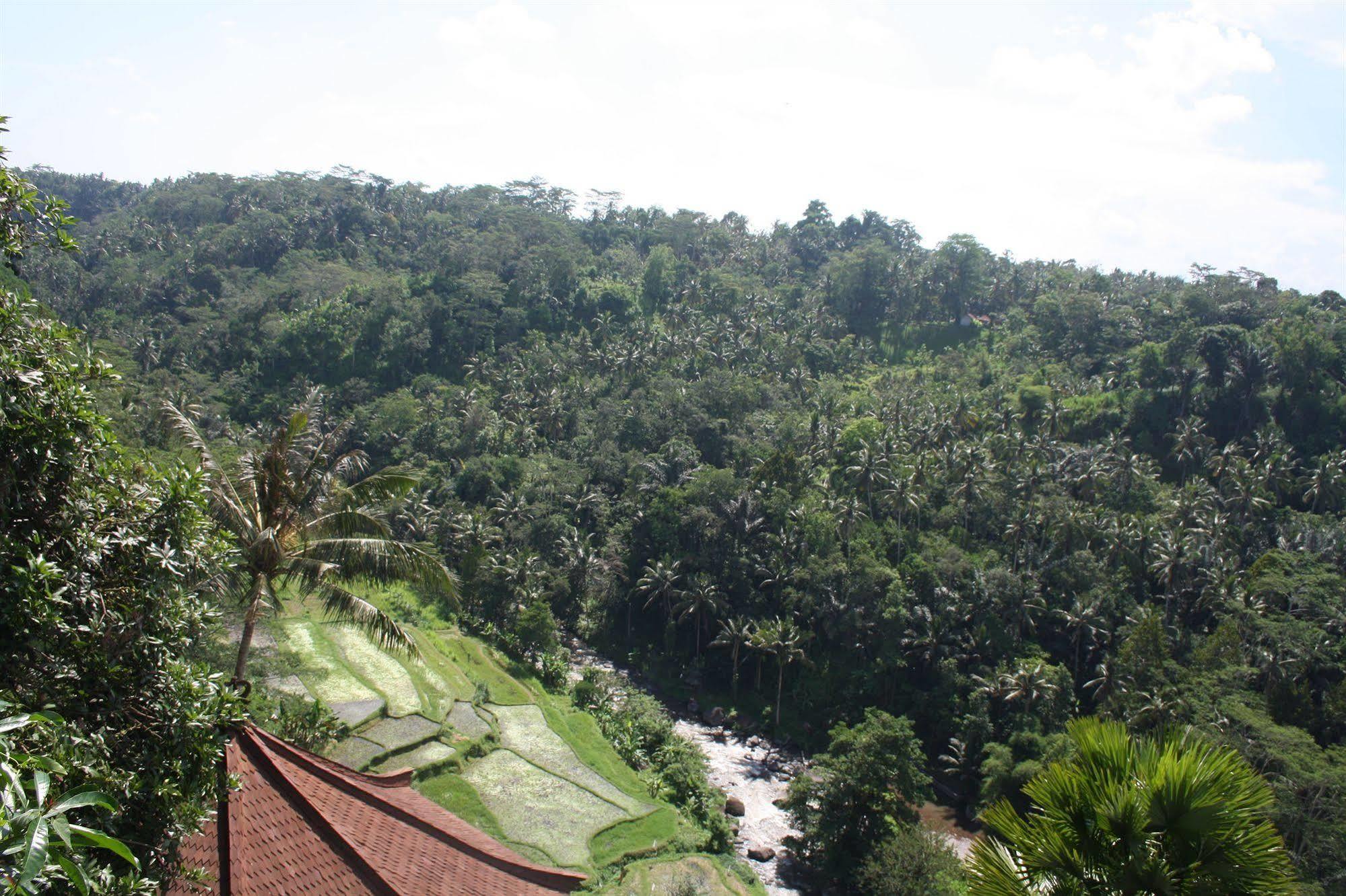 Resort Kupu Kupu Barong And Tree By L'occitane Ubud